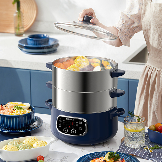 ម៉ាស៊ីនចំហុយអាហារធំ 10L