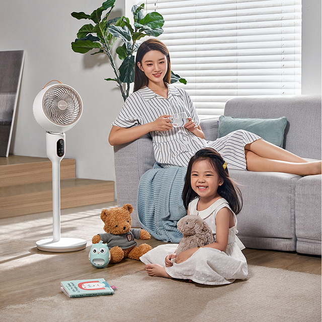 កង្ហារខ្យល់ក្នុងផ្ទះ